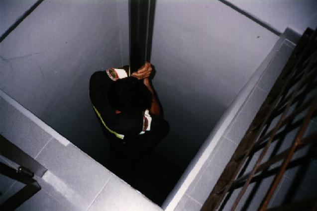 pertica.jpg (28062 byte)